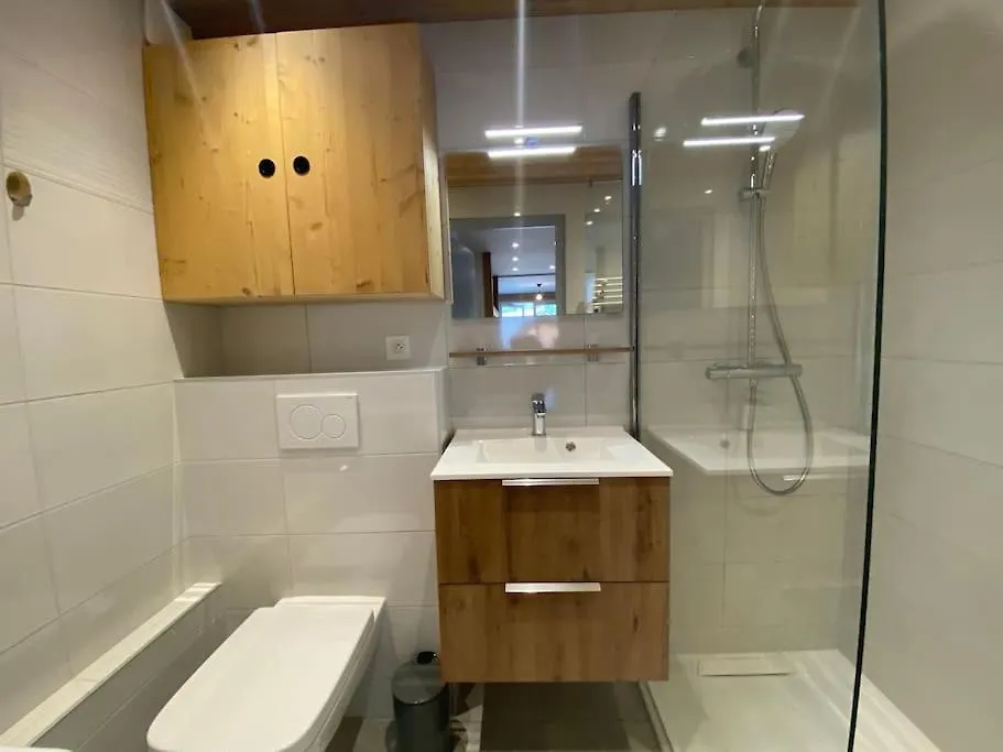 Veronica 53, T2 Avec Coin Montagne - Multipass Inclu Chatel Apartment